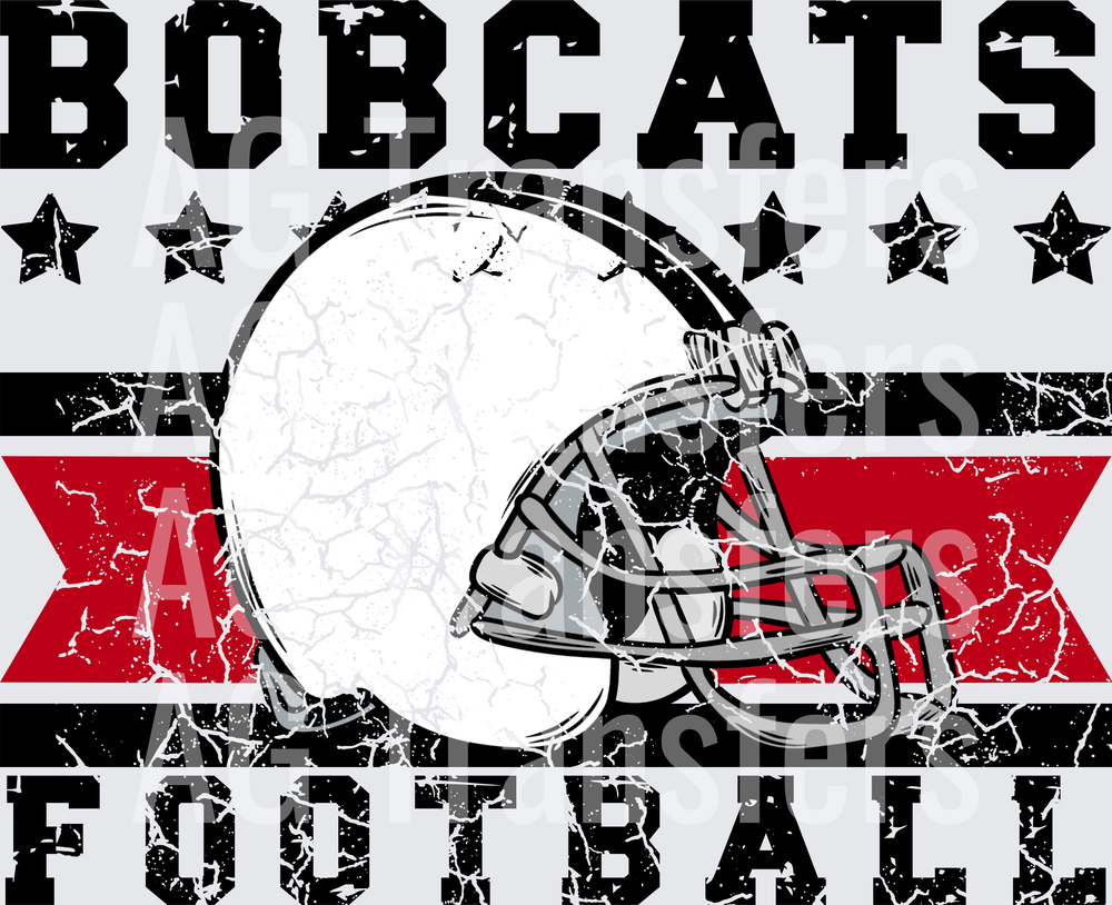 Bobcats(304)