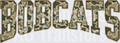 BOBCATS(178)
