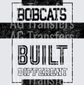 Bobcats(380)