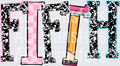 BACK TO SCHOOL PENNANT FIFTH