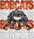 bobcats orange white(2)