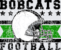Bobcats(44)