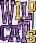 Wildcats Purple Gold