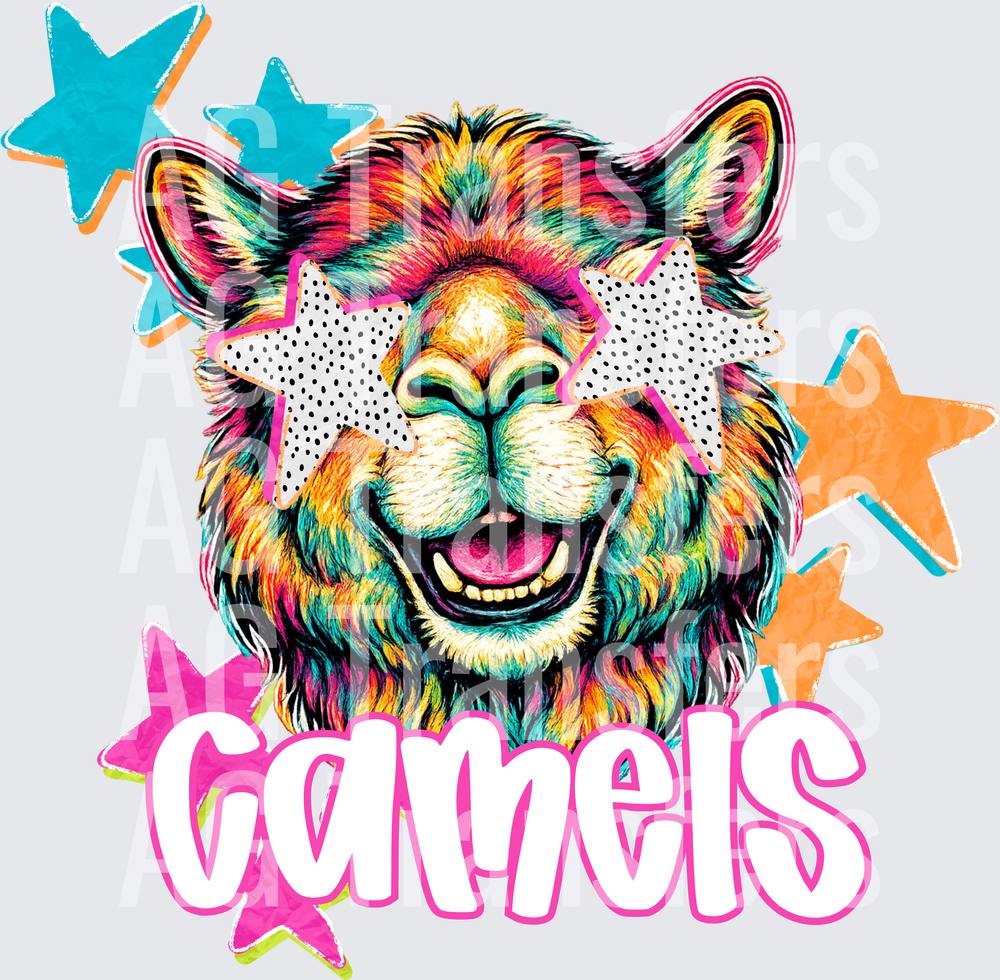 CAMELS