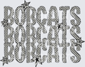 BOBCATS(98)