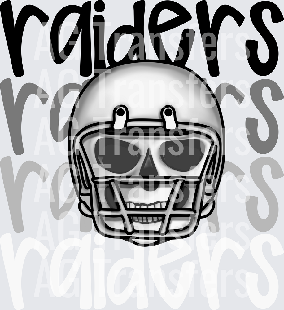 raiders(164)