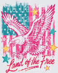 Land of the Free (1)