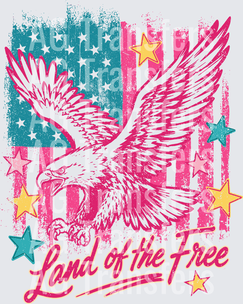 Land of the Free (1)