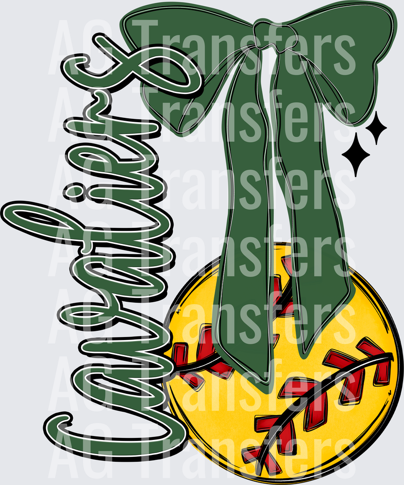 CAVALIERS(43)