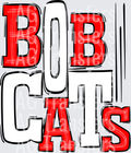 Bobcats Red and White