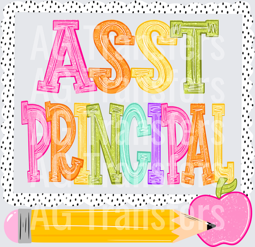Assistant principal