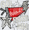 WILDCATS RED GO FIGHT WIN PENNANTS