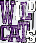 Wildcats Purple White
