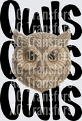 OWLS(45)