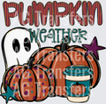 Pumpkin weather(1)