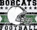 Bobcats(365)
