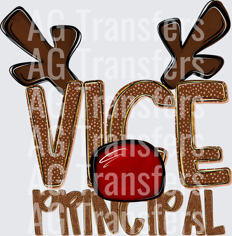 VICE PRINCIPAL