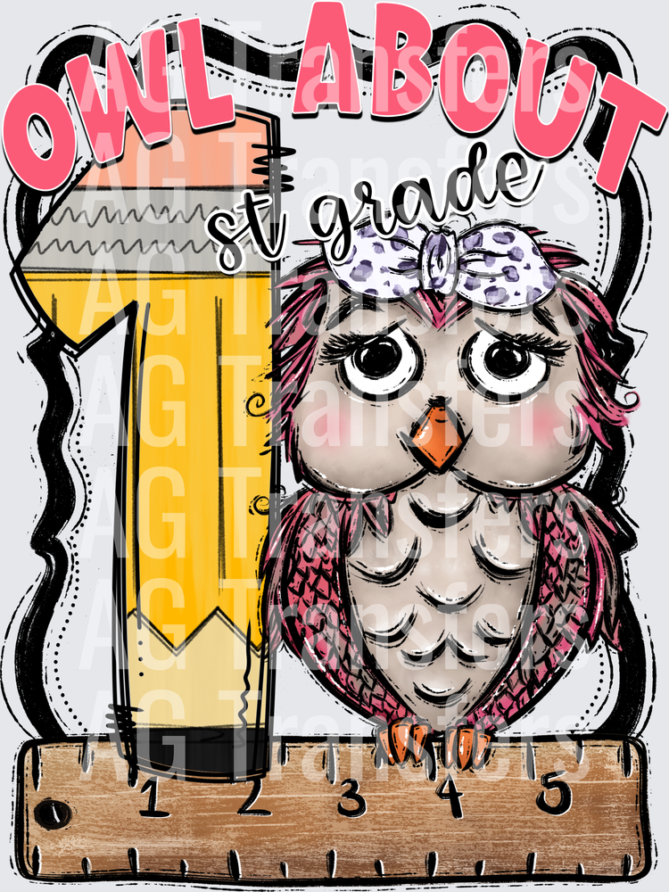 Owl About PINK FIRST GRADE