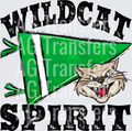 Pennant Mascots WILDCAT Spirit Green
