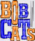 Bobcats Orange and Blue