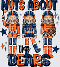Nuts_About_The_Bears