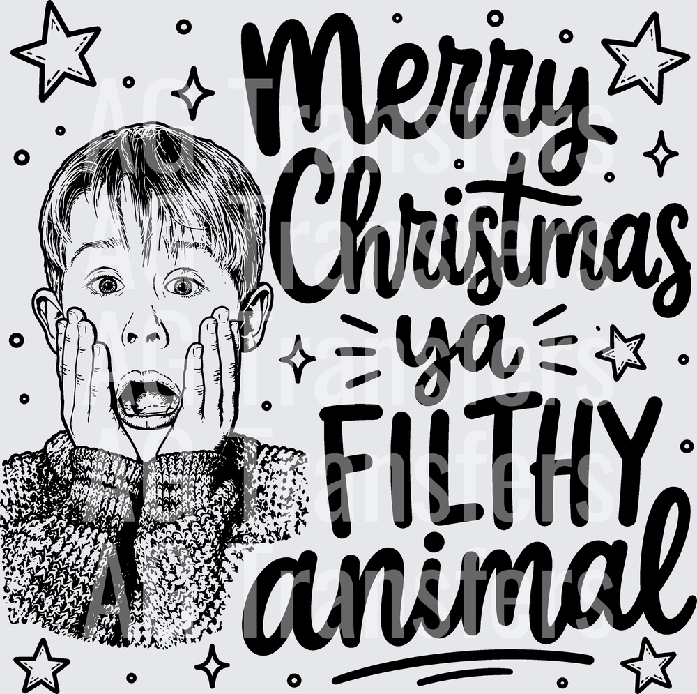 MERRY CHRISTMAS YA FILTHY ANIMAL