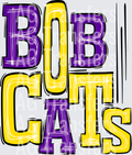 Bobcats Purple and Yellow