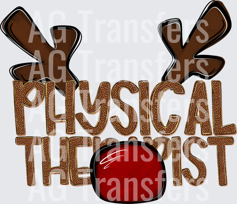 PHYSICAL THERAPIST