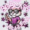BOBCATS 2(1)