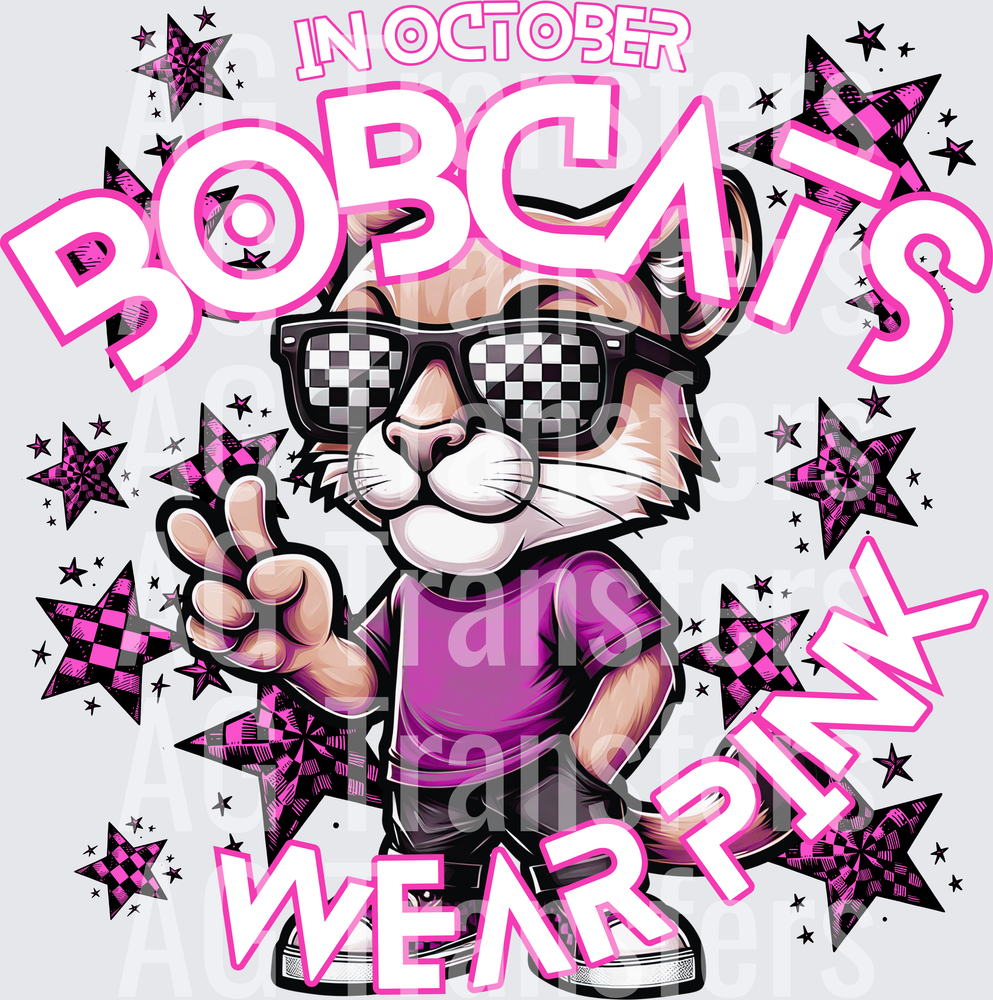 BOBCATS 2(1)