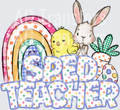 SPED TEACHER(5)