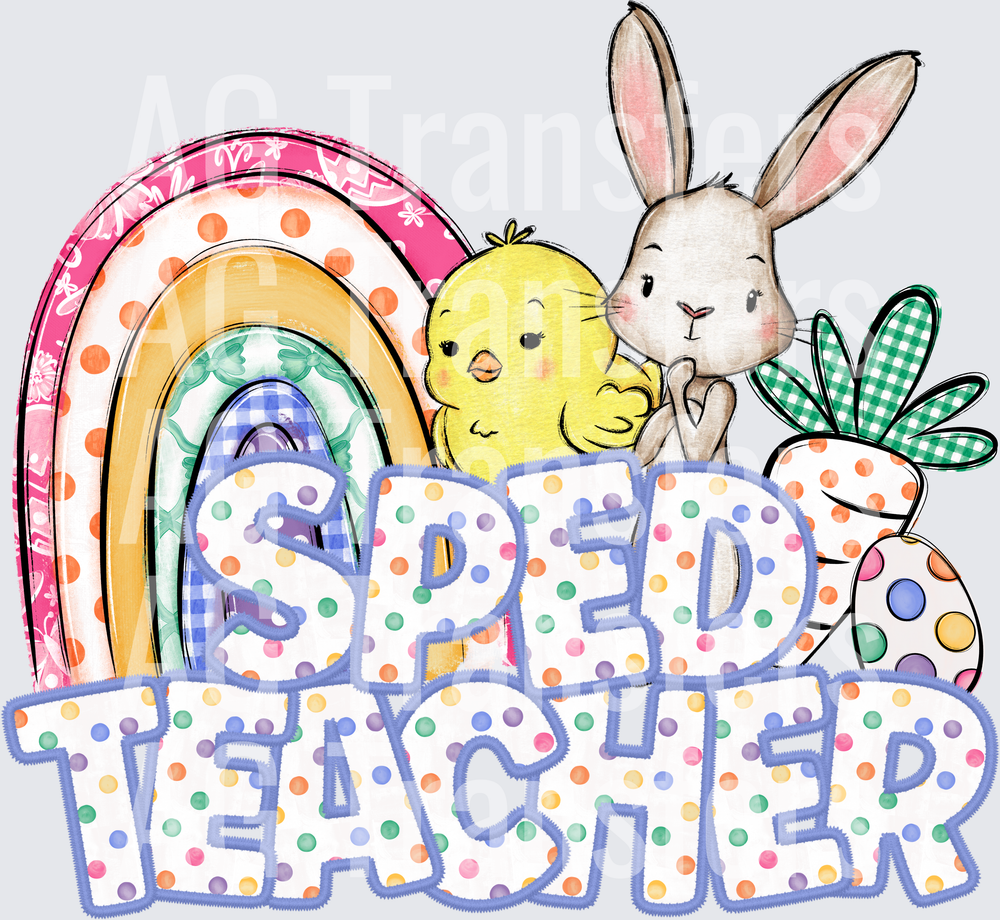 SPED TEACHER(5)