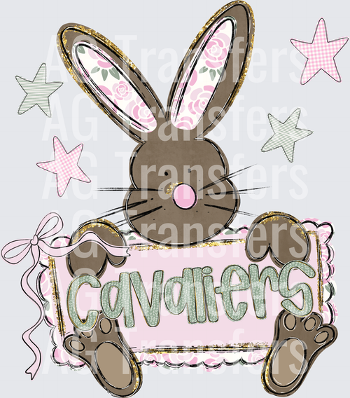 CAVALIERS(36)
