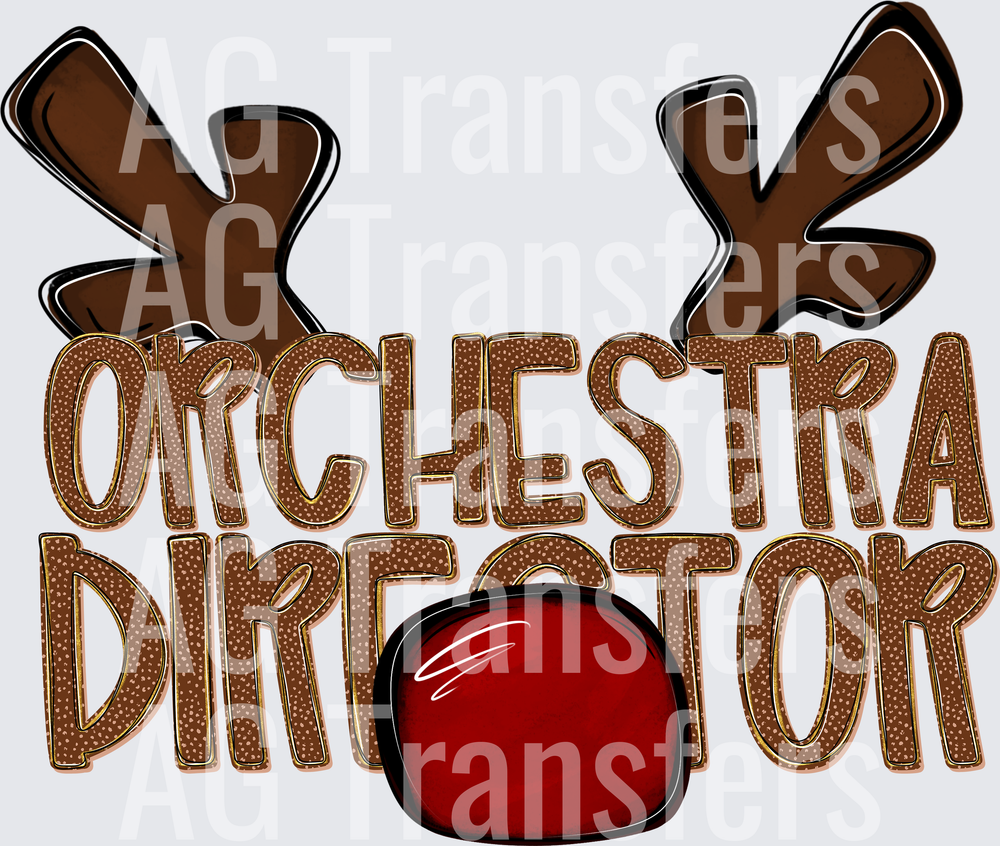 ORCHESTRA DIRECTOR