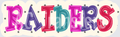 RAIDERS(173)
