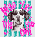 Who let the dogs out