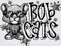 BOBCATS2(2)