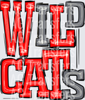 Wildcats Red and Grey