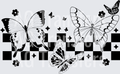 CHECKERED BUTTERFLY