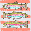 Trout