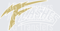 Johnsonville Flashes 19