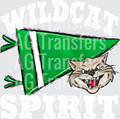 Pennant Mascots WILDCAT Spirit Green WHITE PRINT