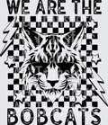 We are the bobcats