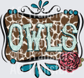 Owls(66)