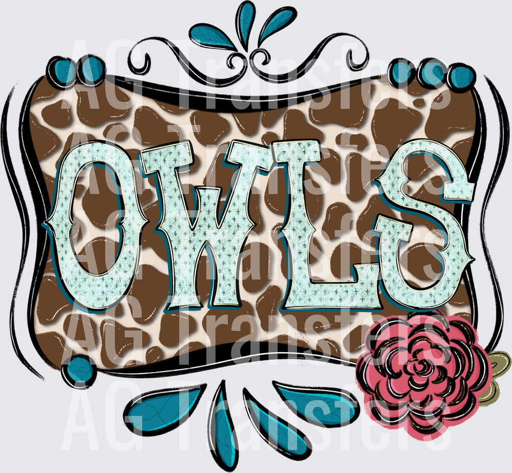 Owls(66)