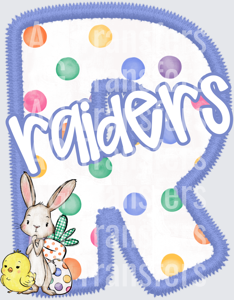 raiders(223)