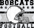 Bobcats(310)