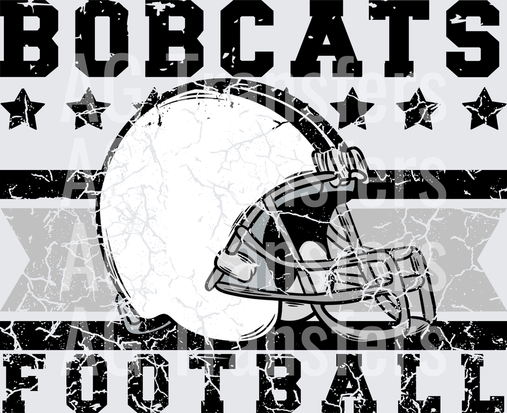 Bobcats(310)