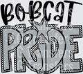 bobcat(47)