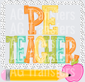 PE teacher